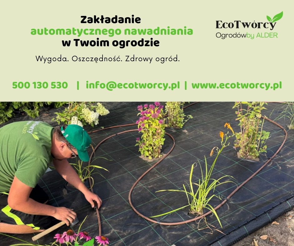 Instalacja nawadniania automatycznego: ogrodnik łączy brązowy przewód nawadniający na czarnej macie szkółkarskiej, wśród roślin w ogrodzie. Widoczne logo firmy.