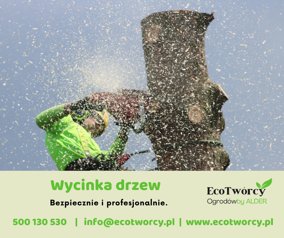 Arborysta w akcji: wycinka drzewa piłą łańcuchową, w powietrzu unoszą się wióry. Ujęcie z dołu, widoczny fragment pnia i pracownik w kasku i odzieży ochronnej.