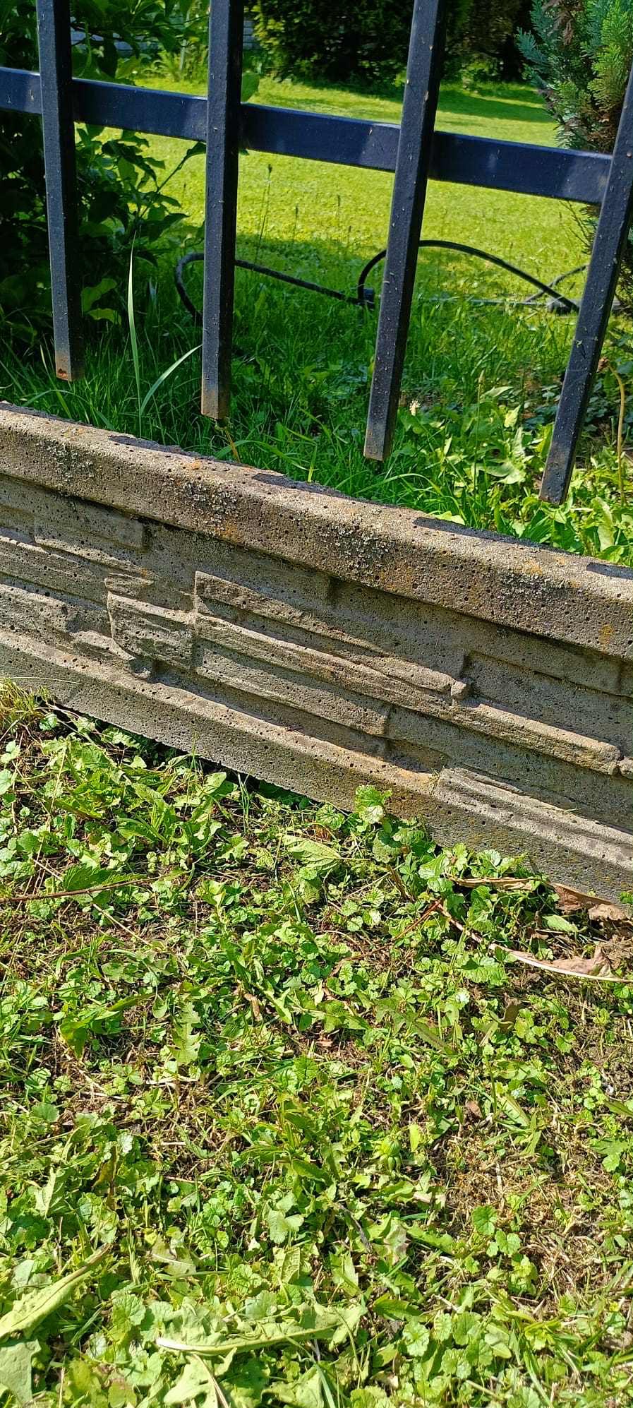 Fragment betonowego murku z fakturą kamienia, porośniętego mchem i trawą, z fragmentem metalowego ogrodzenia w tle, w słoneczny dzień.