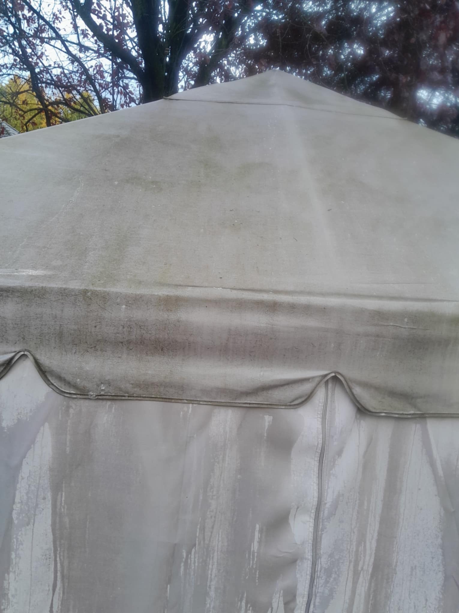 Zabrudzony, jasny namiot ogrodowy z widocznymi zaciekami i plamami. Widok z dołu na szczyt konstrukcji, z drzewami w tle.