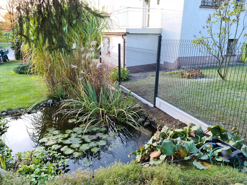 Panelowe ogrodzenie w ogrodzie z oczkiem wodnym, widoczne rośliny wodne i trawy ozdobne. Nowoczesne rozwiązanie oddzielające przestrzeń.