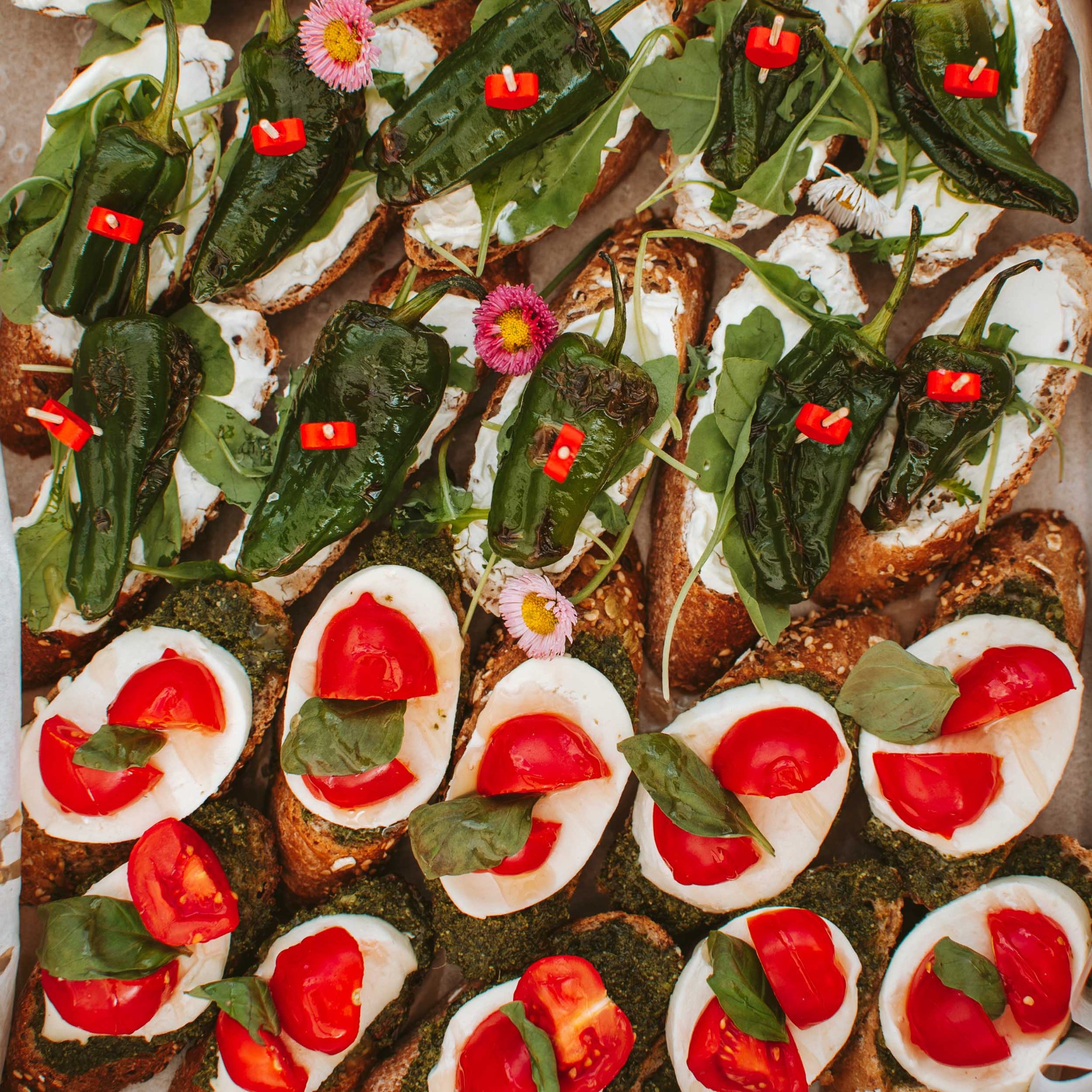 Artystycznie ułożone kanapki: górna część z zielonymi papryczkami i kwiatami, dolna z mozzarellą, pomidorami i bazylią na chlebie z pesto. Dekoracyjne i apetyczne.