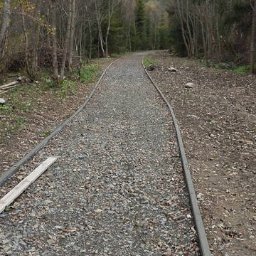 Greks-Bud - Utwardzona żwirowa droga leśna z betonowymi obrzeżami, prowadząca w głąb lasu. Widoczne drzewa i niebo. Fragment deski po lewej stronie.