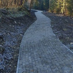 Greks-Bud - Kręta ścieżka z kostki brukowej w lesie, prowadząca w górę. Kostka w odcieniach szarości, otoczona ziemią i drzewami. Widok w perspektywie, w naturalnym oświetleniu.