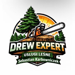 Wycinka drzew Czarne 1