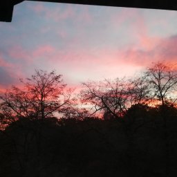 BIZON Dariusz Piwowarczyk