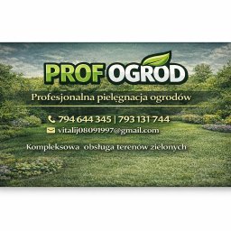 Wycinka drzew Bielsko-Biała 1