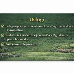 Wycinka drzew Bielsko-Biała 2