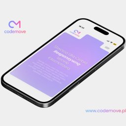 Tworzenie stron internetowych Puławy 1