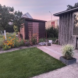 Marika Sokołowska - Zadbany trawnik z rolki sąsiaduje z rabatą kwiatową i drewnianą szopą. W tle widoczny budynek. Ujęcie z poziomu gruntu, w ciepłym świetle zachodzącego słońca.