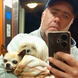 Petsitter Opieka Domowa dla Zwierząt Psa i Kota - Opieka Długoterminowa Częstochowa