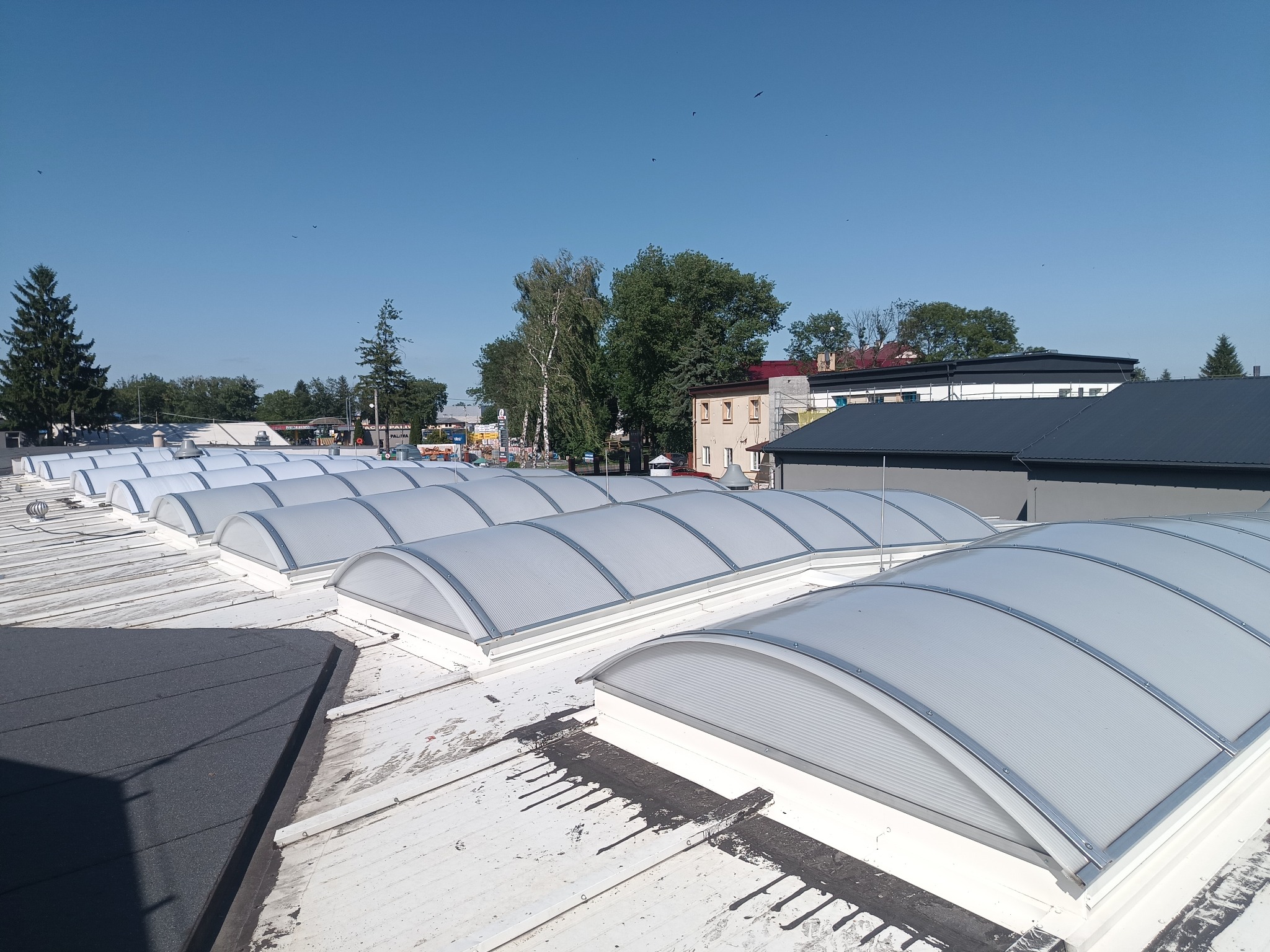 Biały dach z szeregiem świetlików kopułkowych w regularnych odstępach, widok z góry w słoneczny dzień. W tle zieleń drzew i budynki.