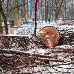 Sprzątanie mieszkań Wesoła 1