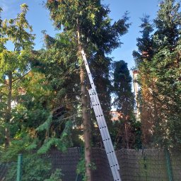 Sprzątanie mieszkań Wesoła 3