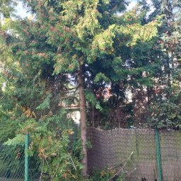 Sprzątanie mieszkań Wesoła 4