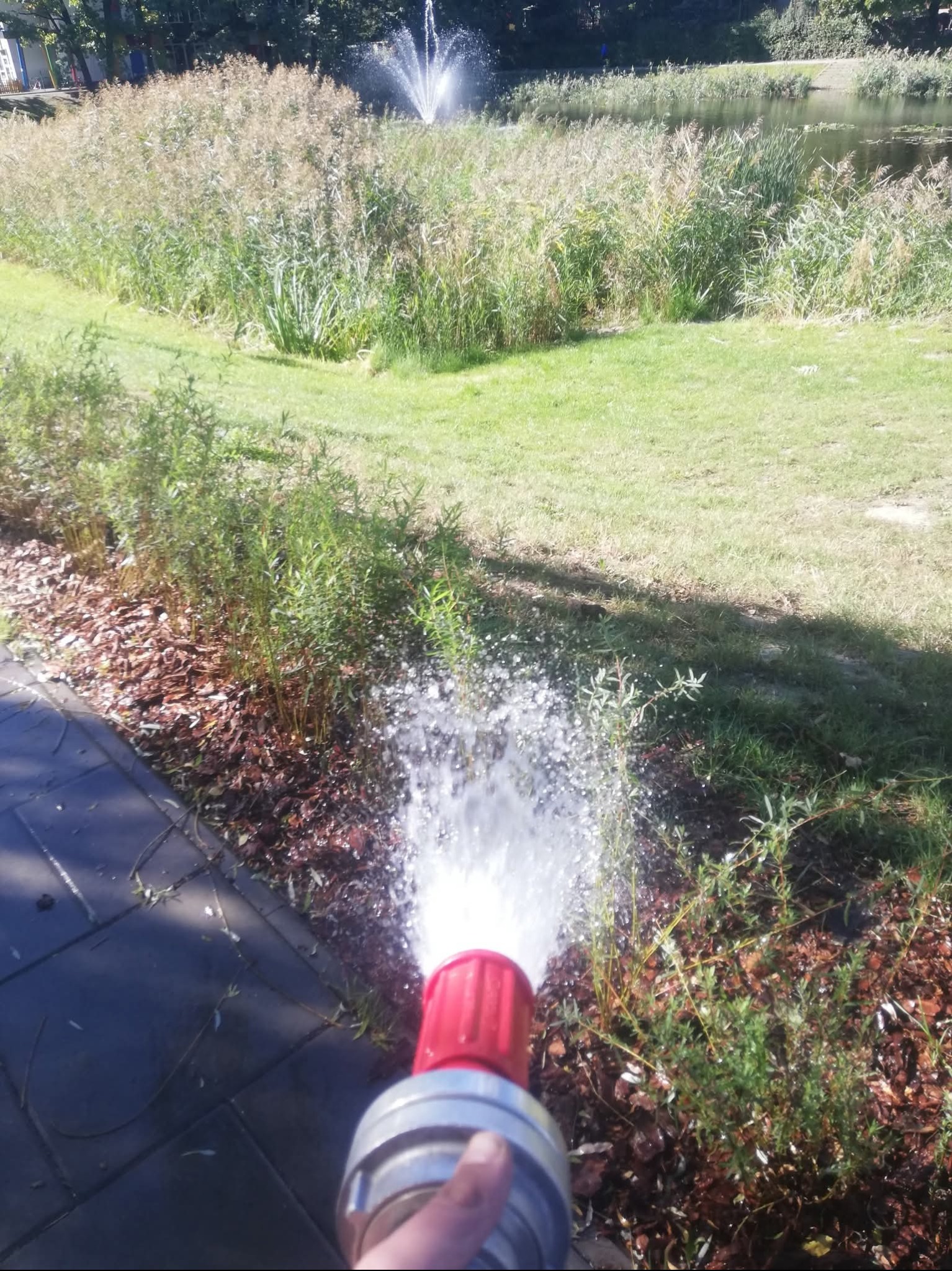 Nawadnianie roślinności w ogrodzie za pomocą węża z czerwoną końcówką, w tle staw z fontanną i bujna roślinność.