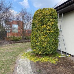 Pielęgnacja ogrodów Warszawa 2