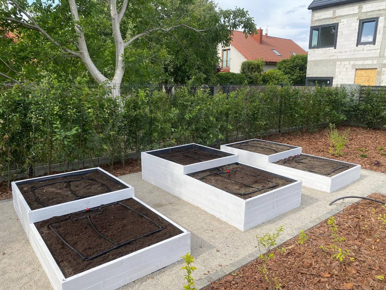 Białe, drewniane skrzynie na ziemię z systemem nawadniania w ogrodzie. Widoczne drzewa, krzewy i budynek w tle. Ujęcie z poziomu gruntu.