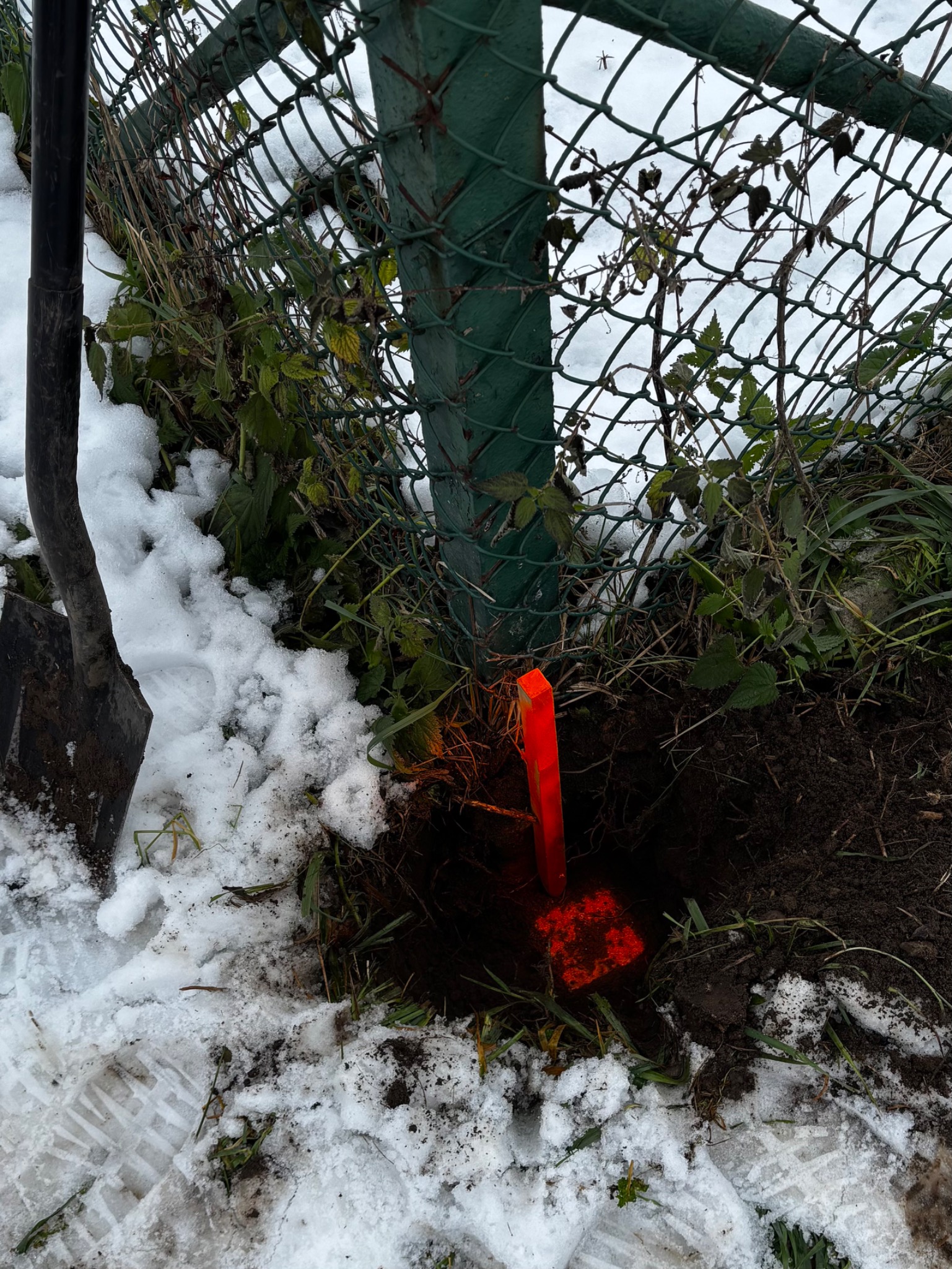 Pomarańczowy palik wbity w ziemię obok ogrodzenia z siatki, częściowo pokrytej śniegiem. Obok leży łopata. Praca w terenie w zimowych warunkach.