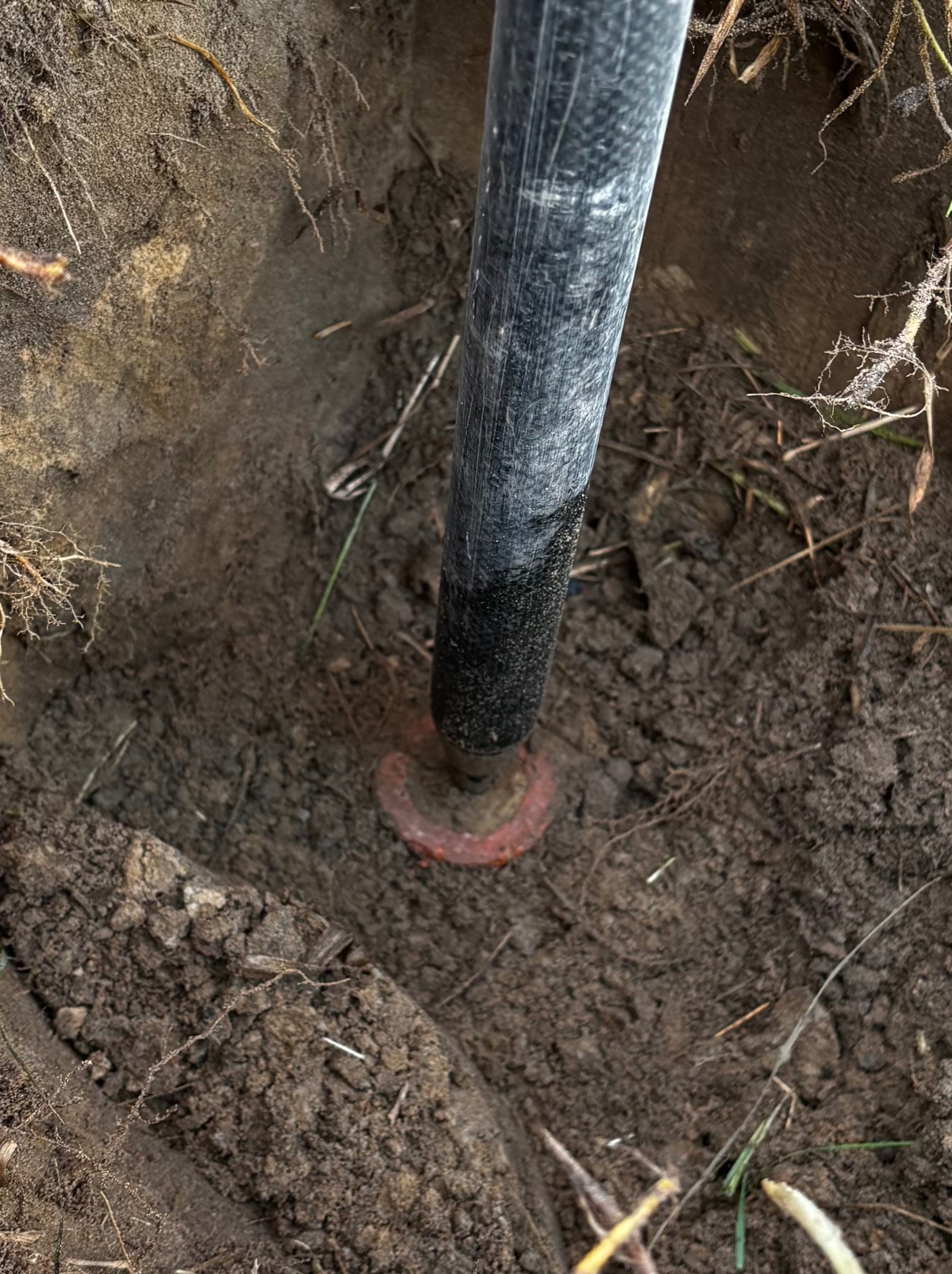 Czarny palik geodezyjny wbity w ziemię, widok z góry. Palik z pomarańczową podstawą, otoczony ziemią i korzeniami. Detal z prac geodezyjnych.