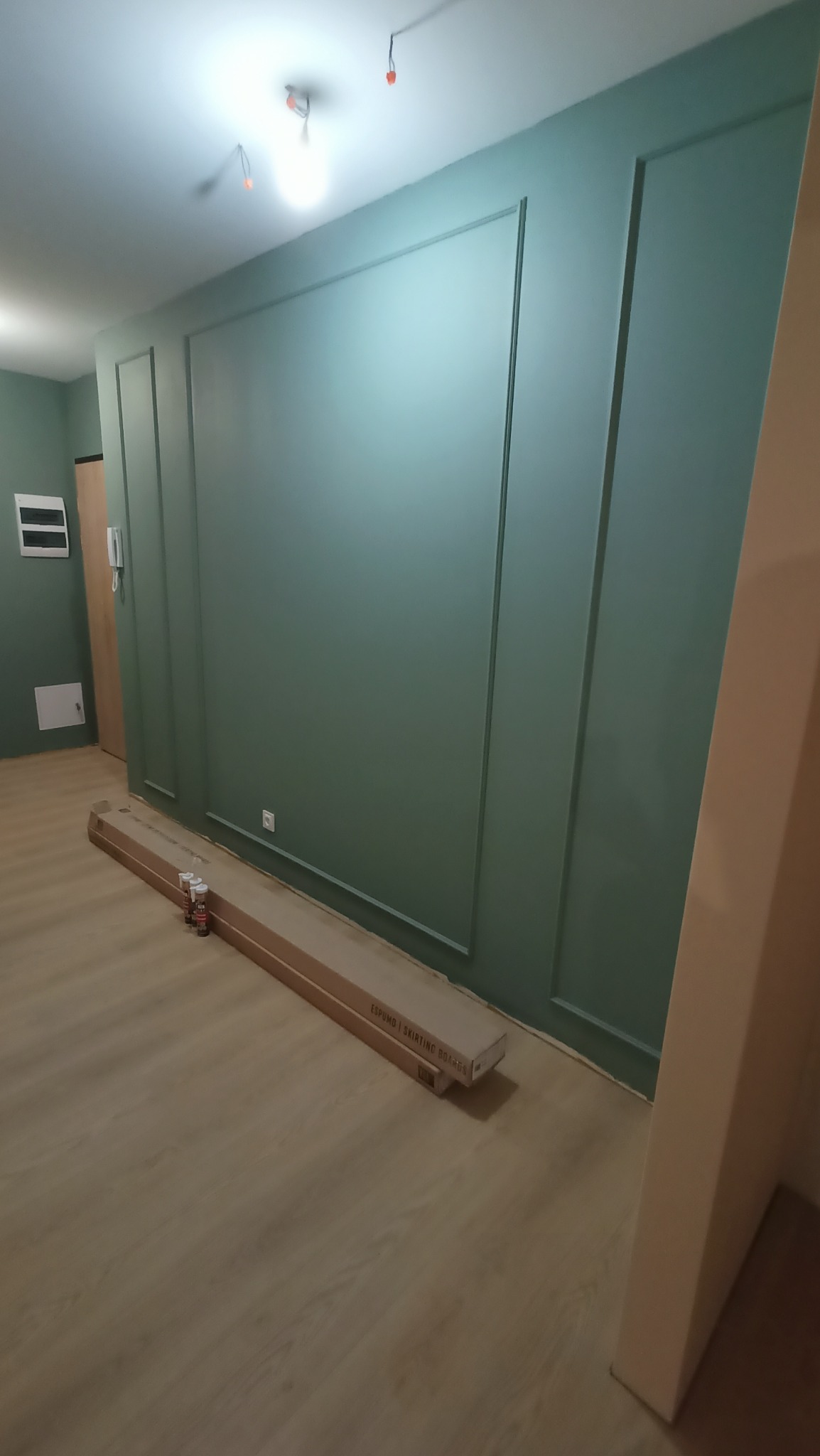 Ściana w odcieniach zieleni z dekoracyjnymi listwami. Na podłodze leżą kartony z listwami przypodłogowymi i tuby z klejem. Widoczne gniazdko elektryczne.