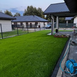 F.H.U. Marek Szwed - Soczysta, zielona trawa w ogrodzie z nowoczesnym domem w tle, widok z boku, z elementami nawadniania na pierwszym planie. Świeżo założony trawnik.