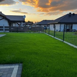 F.H.U. Marek Szwed - Zadbany trawnik przed domem jednorodzinnym, widok z poziomu kostki brukowej, w tle zachodzące słońce barwi chmury na pomarańczowo.