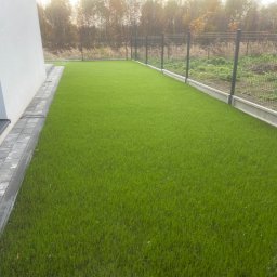 Wycinka drzew Częstochowa 4