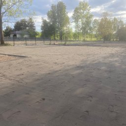 Wycinka drzew Częstochowa 3