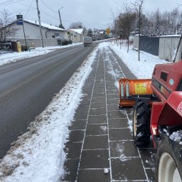 Wycinka drzew Częstochowa 2