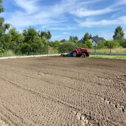 Wycinka drzew Częstochowa 1