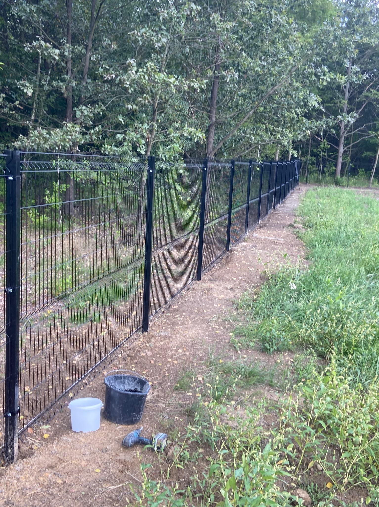 Nowo postawione, czarne ogrodzenie panelowe na granicy działki z widocznymi narzędziami i dwoma wiadrami. W tle drzewa i trawa.