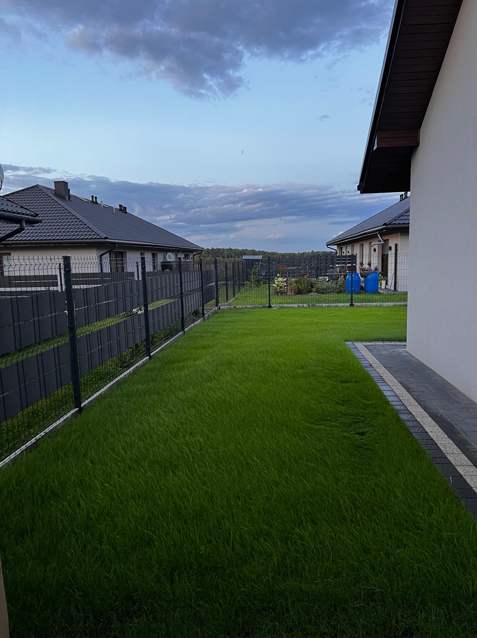 Zadbany trawnik z ciemnozieloną trawą, ogrodzony nowoczesnym panelem. W tle widoczne domy jednorodzinne i pochmurne niebo.