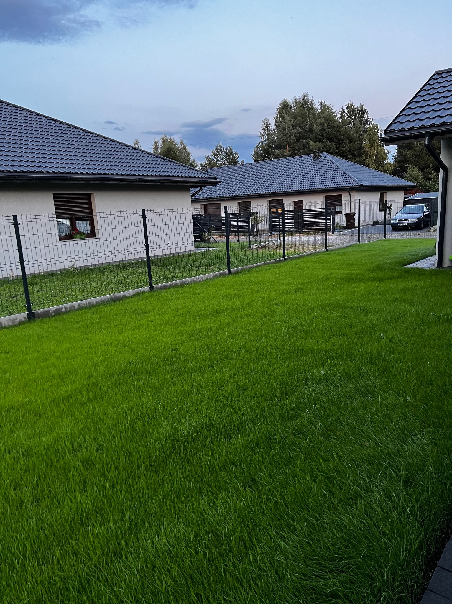 Soczysta, zielona trawa na tle nowoczesnych domów z ciemnymi dachami i metalowym ogrodzeniem. Widok na zadbany ogród w spokojnej okolicy.
