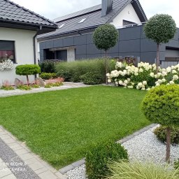 Trawa z rolki Płock 1