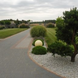 Trawa z rolki Płock 3