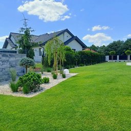 Trawa z rolki Płock 2