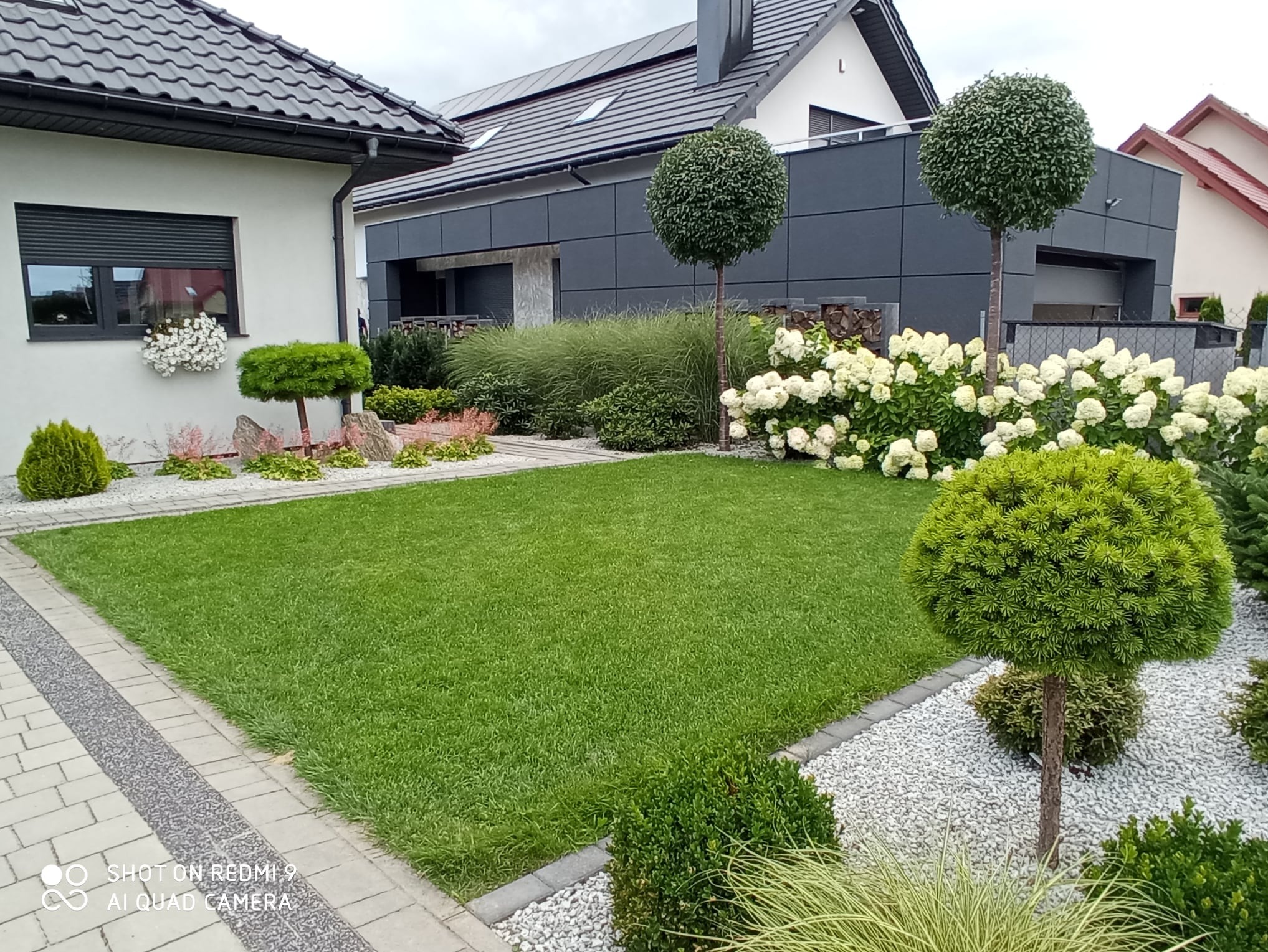 Zadbany trawnik z równo przystrzyżoną trawą, ozdobne krzewy i drzewka w formie kul, białe kamienie dekoracyjne, nowoczesny dom w tle.