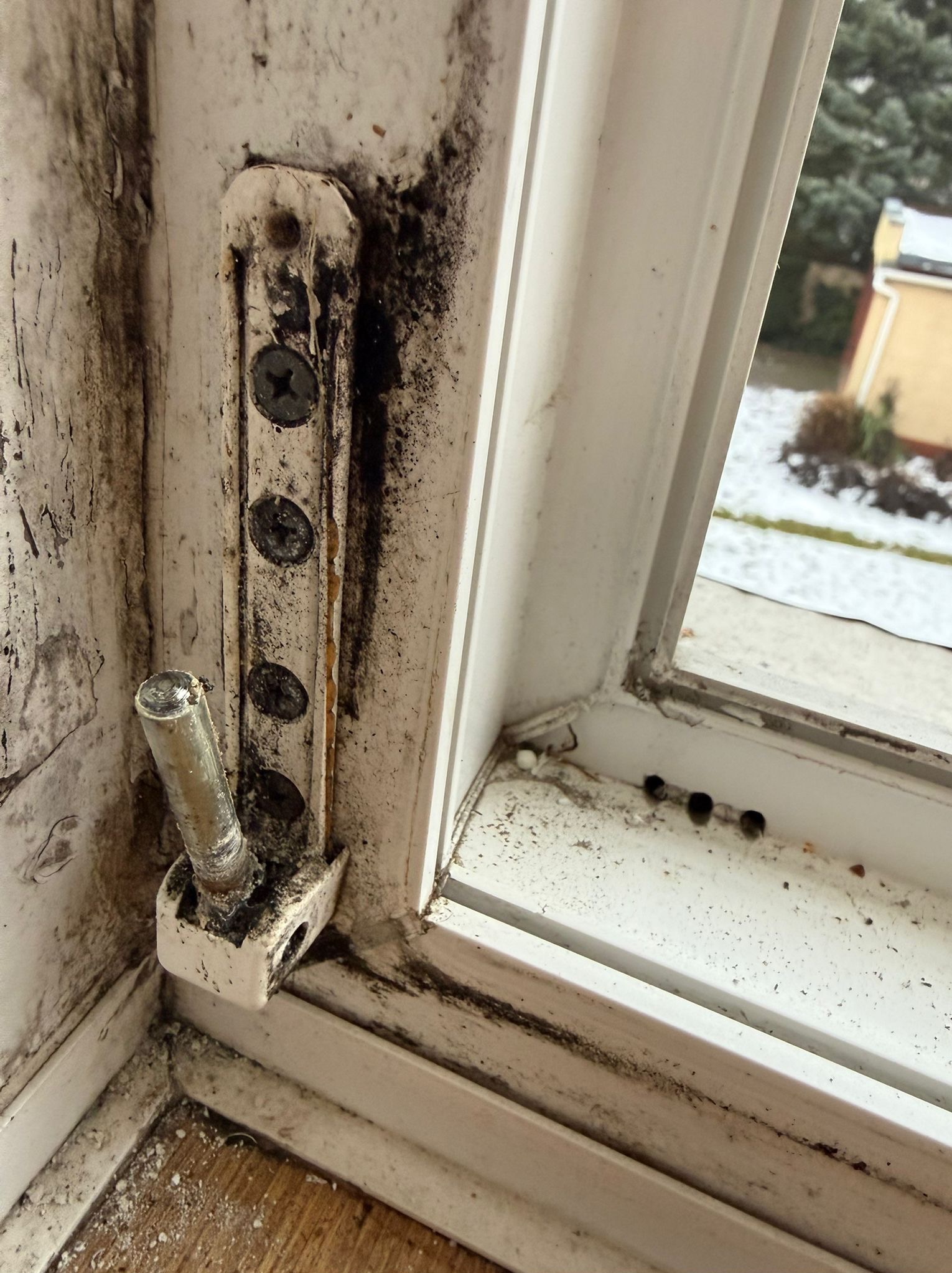 Zardzewiały zawias okienny pokryty pleśnią, z widocznymi obluzowanymi śrubami, na tle ramy okiennej i zimowego krajobrazu za oknem. Zaniedbanie konserwacji.