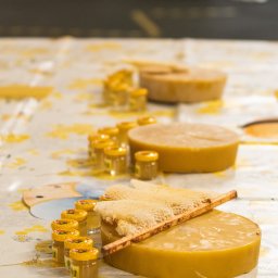 Dzień Pszczoły – Kids Arena #3