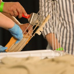 Lexu_Photo - Dzień Pszczoły – Kids Arena #5