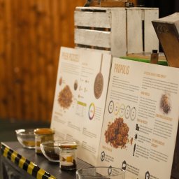 Lexu_Photo - Dzień Pszczoły – Kids Arena #7