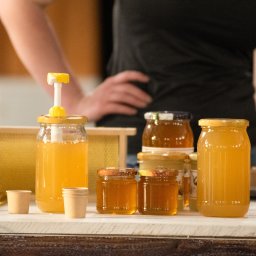 Lexu_Photo - Dzień Pszczoły – Kids Arena #8