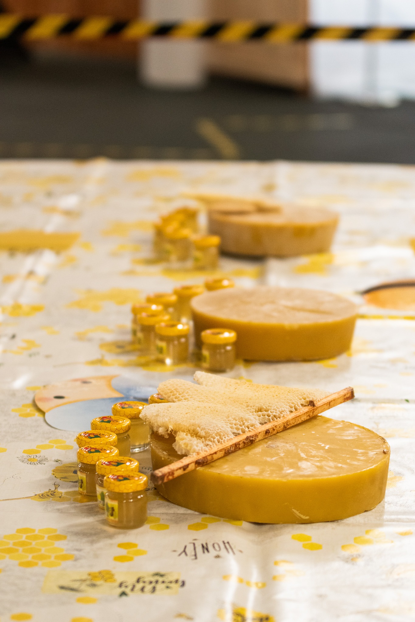 Dzień Pszczoły – Kids Arena #3