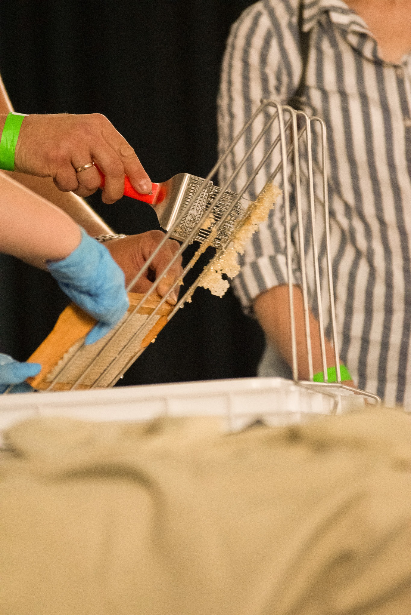 Dzień Pszczoły – Kids Arena #5