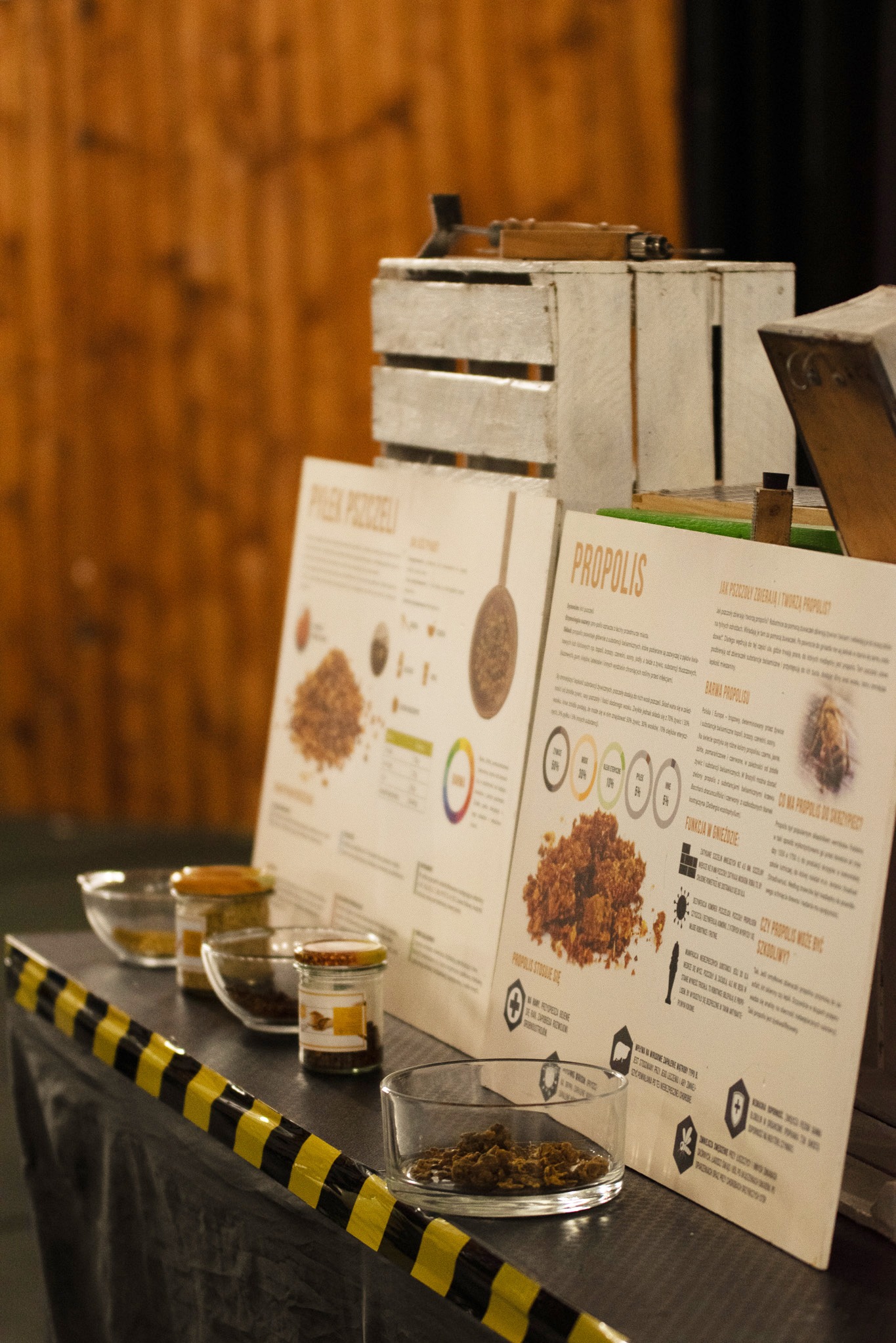 Dzień Pszczoły – Kids Arena #7