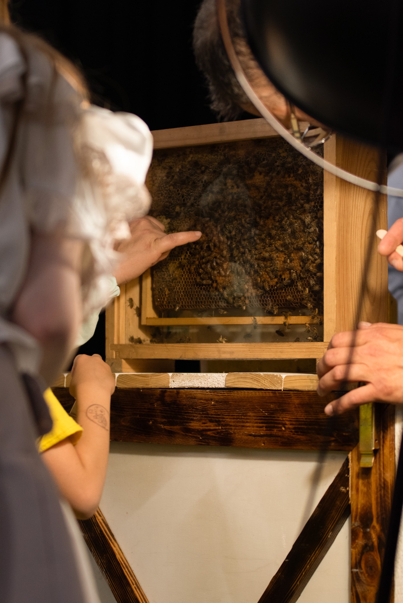 Dzień Pszczoły – Kids Arena #13