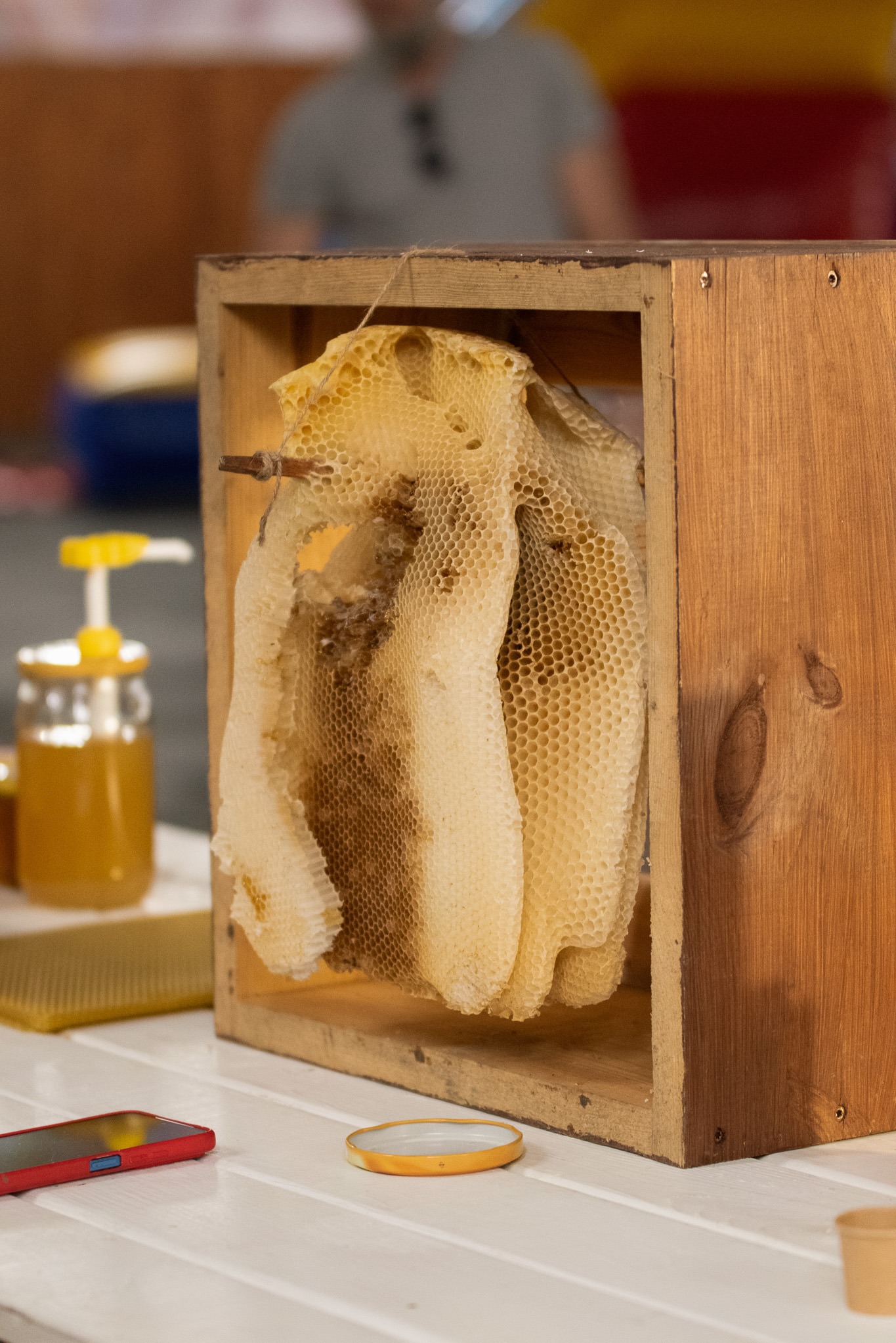 Dzień Pszczoły – Kids Arena #21