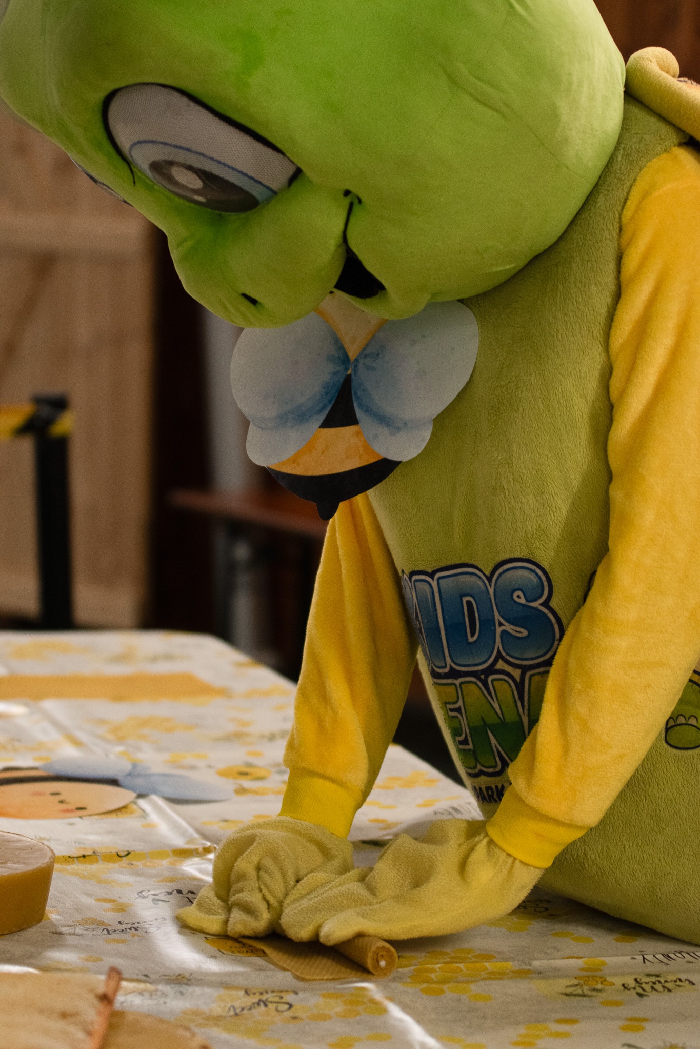 Dzień Pszczoły – Kids Arena #22