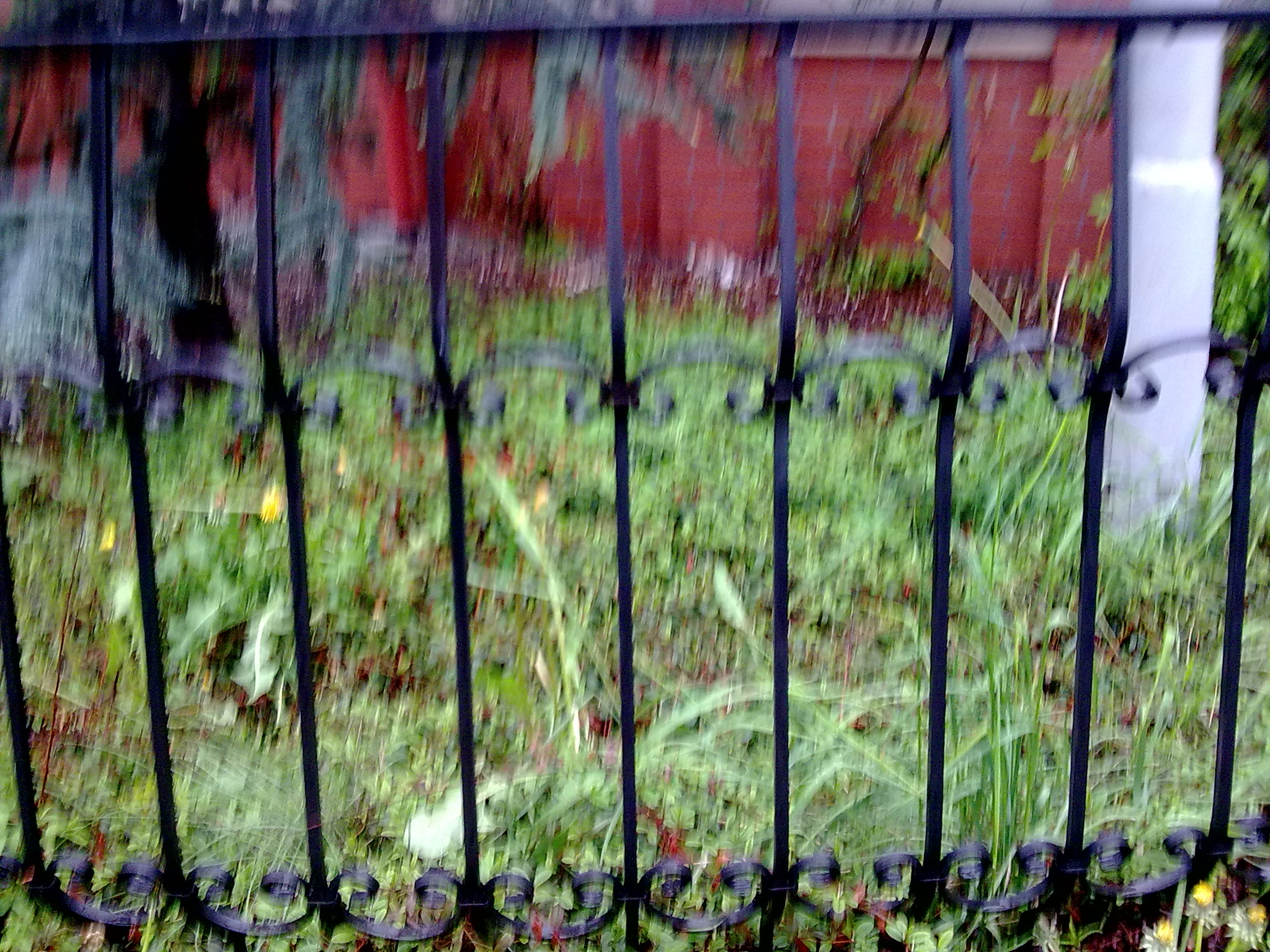 Fragment czarnego, kutego ogrodzenia z ozdobnymi elementami na tle zielonej trawy i ceglanego muru, widoczne z bliskiej perspektywy.